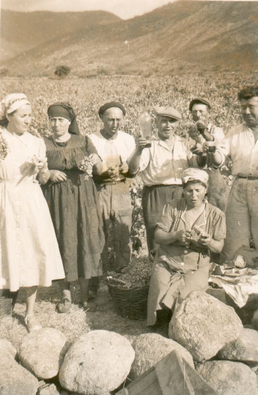 vers 1945  Monacia, Jeanne 